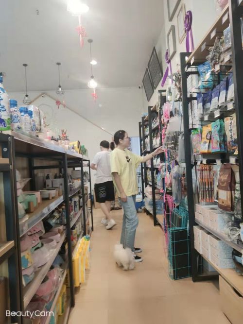 上海尊寵寵物代理商聯(lián)盟增值服務(wù)再升級(jí) 賦能線下門店新動(dòng)力